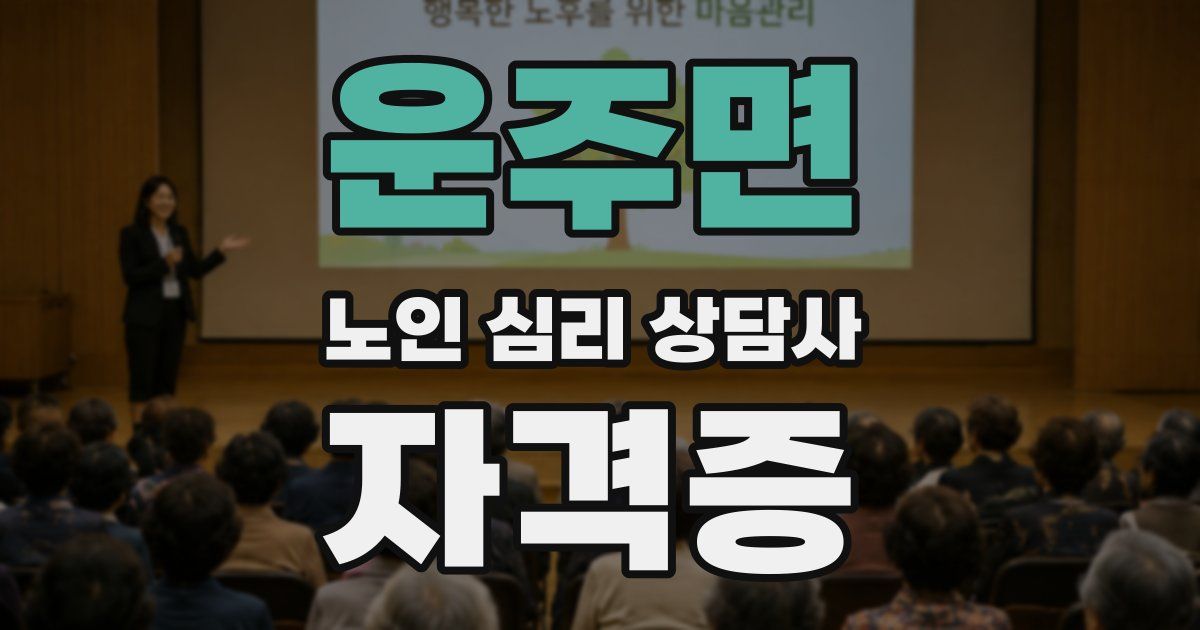 운주면 노인 심리 상담사 자격증