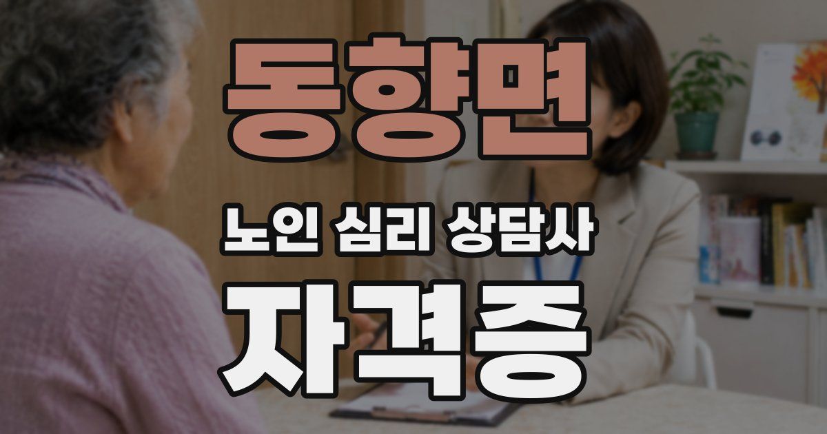 동향면 노인 심리 상담사 자격증