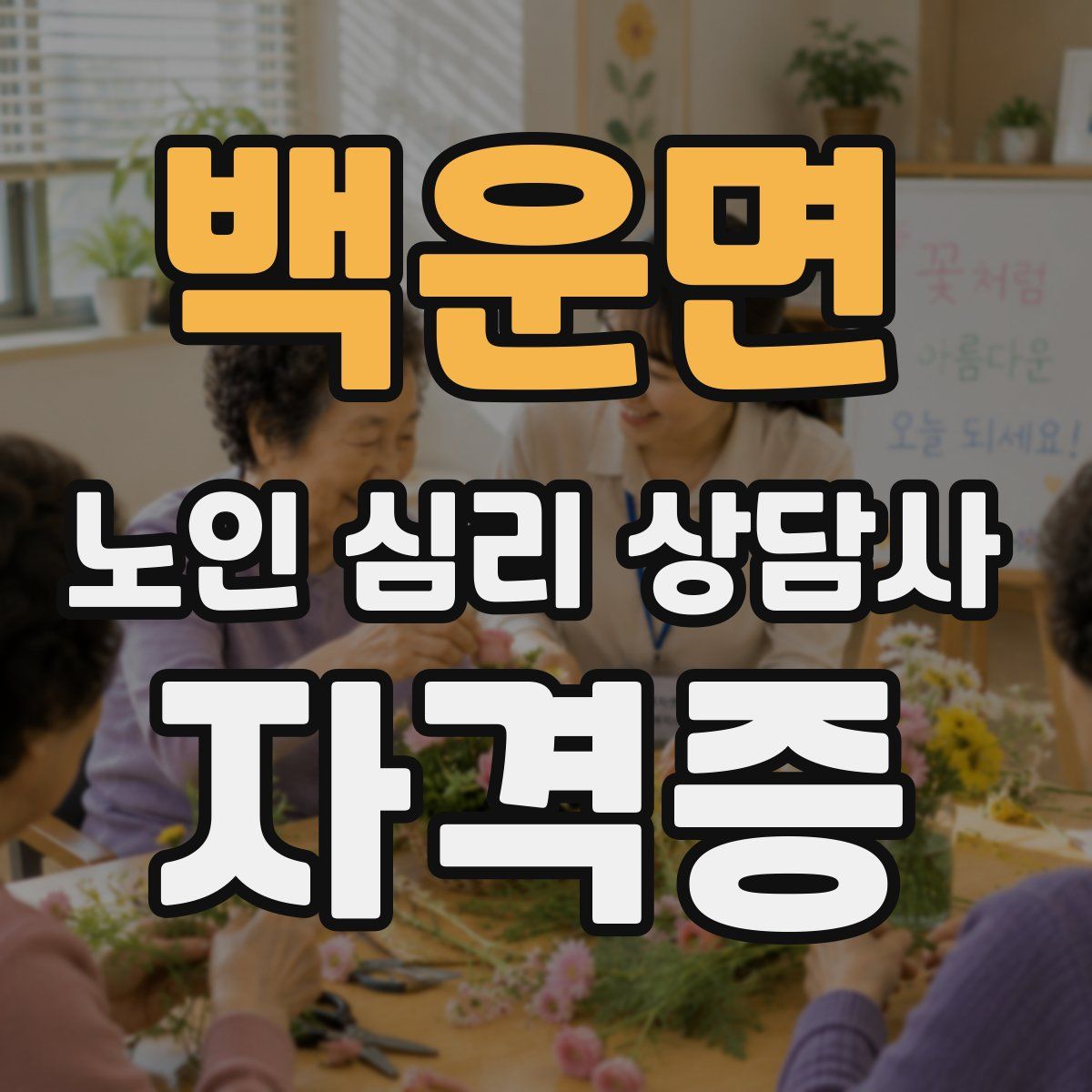 백운면 노인 심리 상담사 자격증
