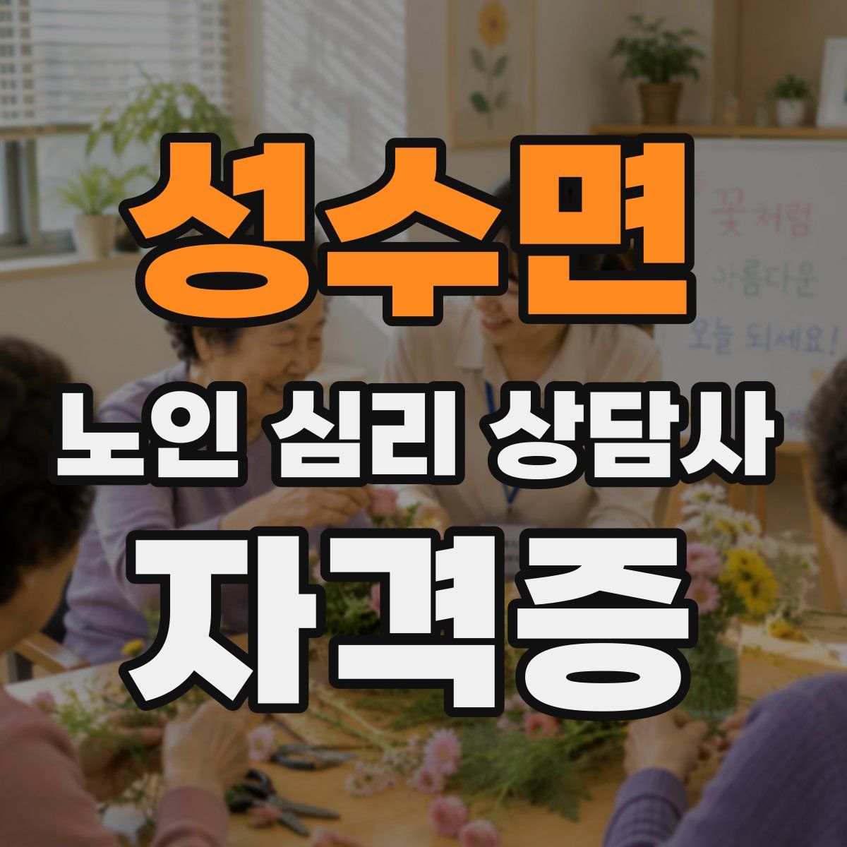 성수면 노인 심리 상담사 자격증
