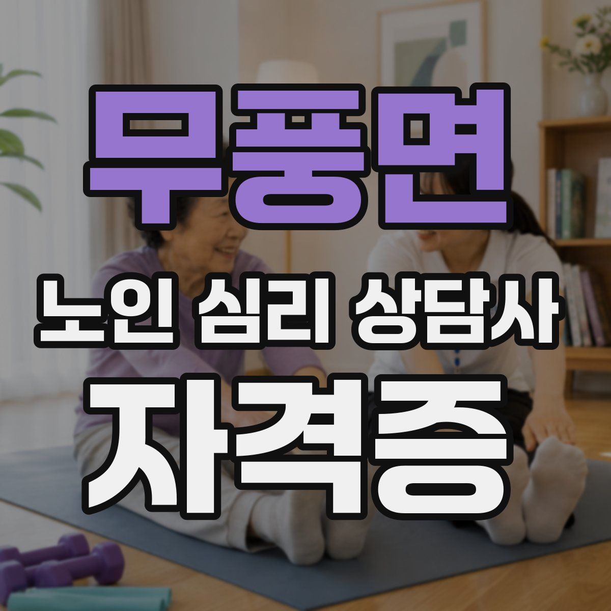 무풍면 노인 심리 상담사 자격증