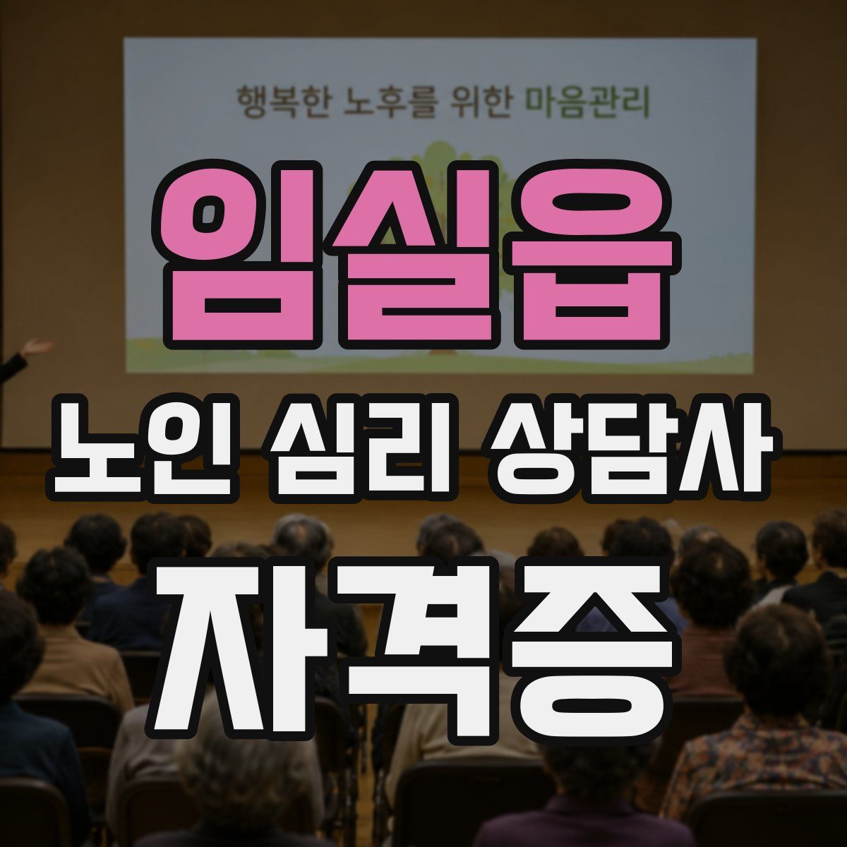 임실읍 노인 심리 상담사 자격증