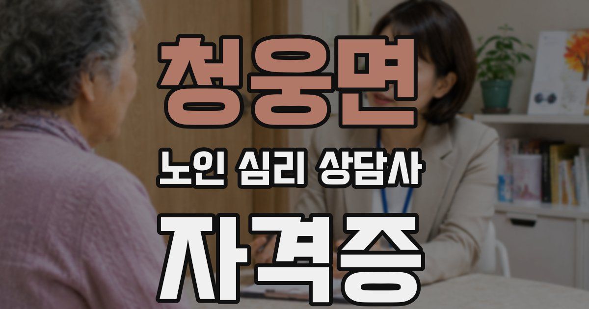 청웅면 노인 심리 상담사 자격증