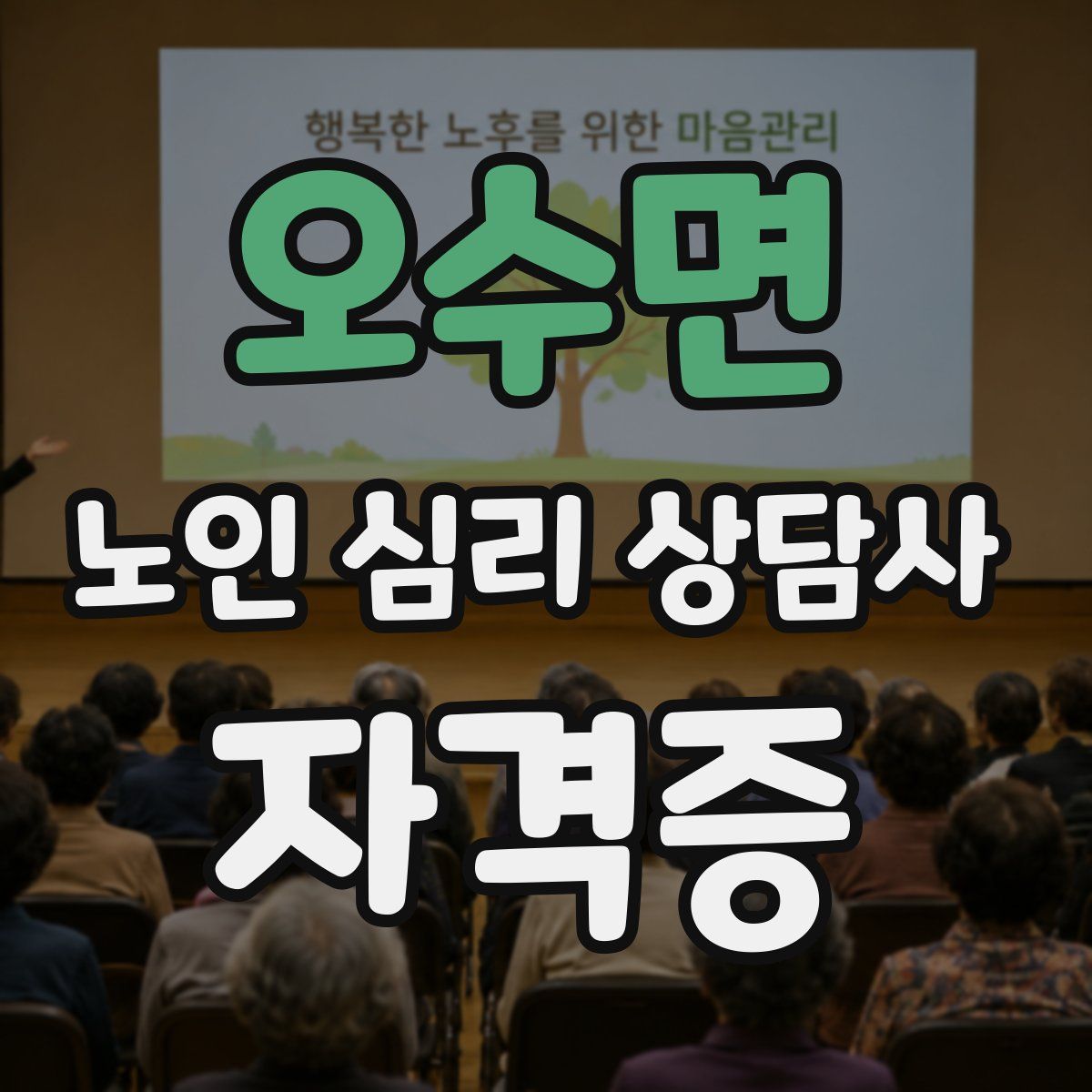 오수면 노인 심리 상담사 자격증
