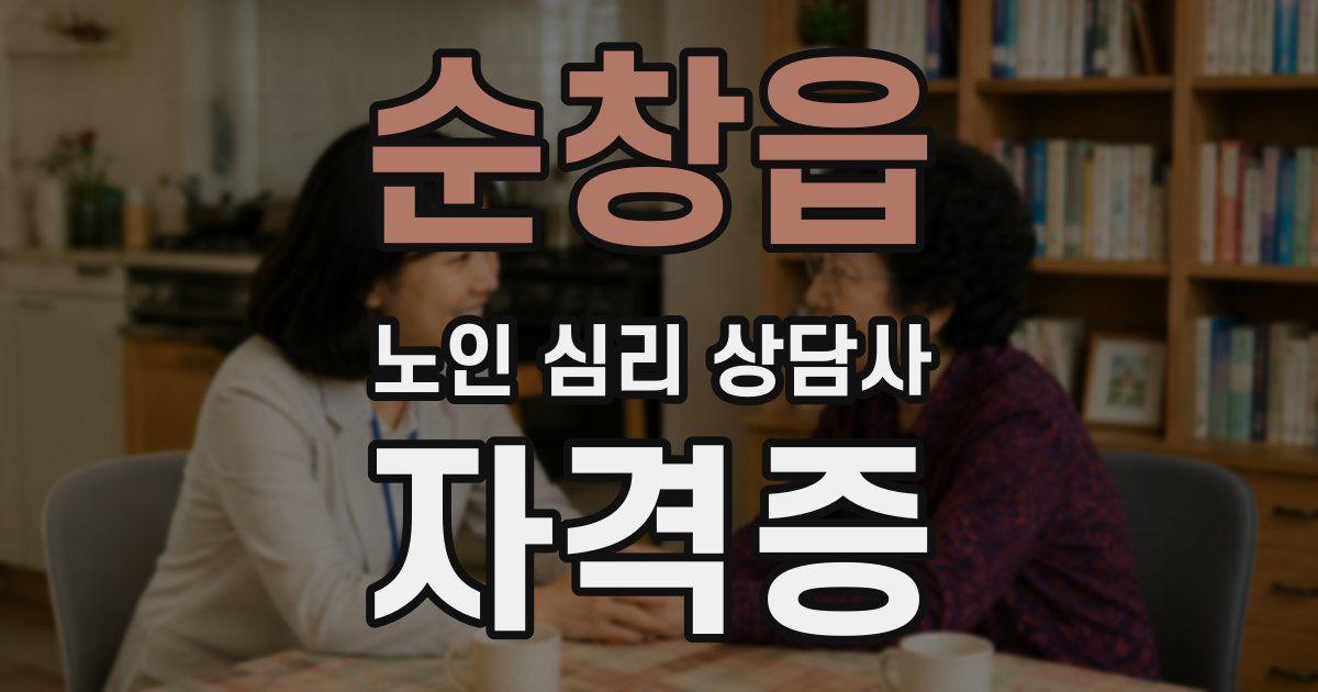 순창읍 노인 심리 상담사 자격증