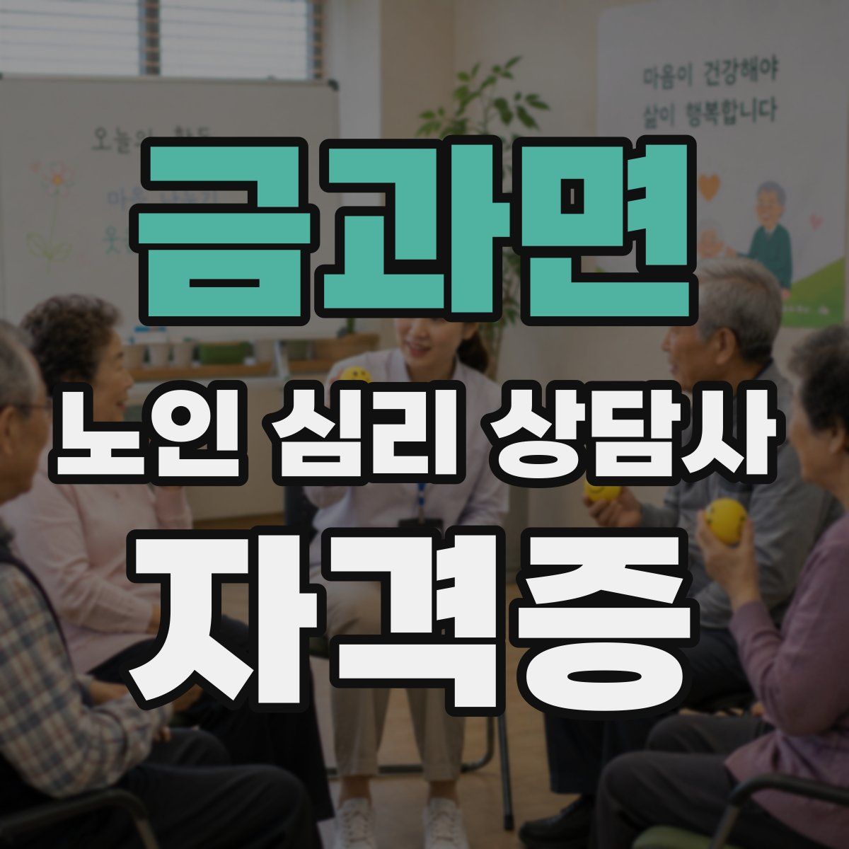 금과면 노인 심리 상담사 자격증