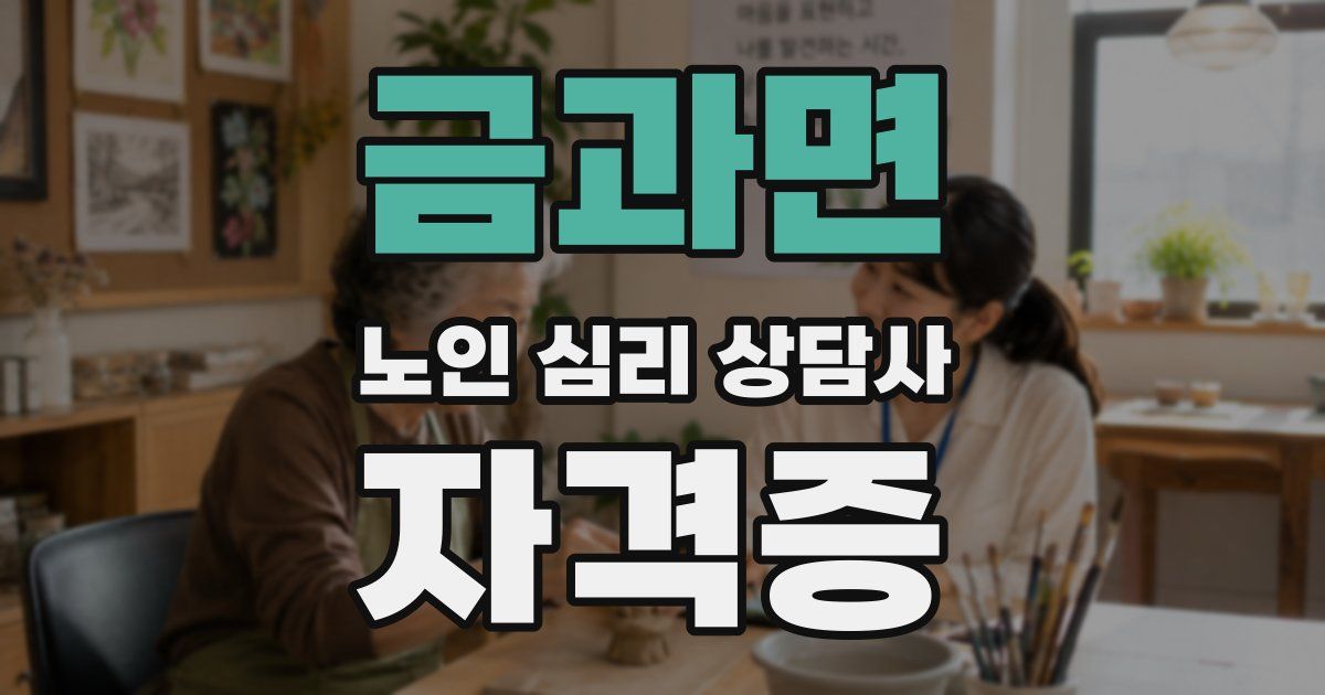 금과면 노인 심리 상담사 자격증