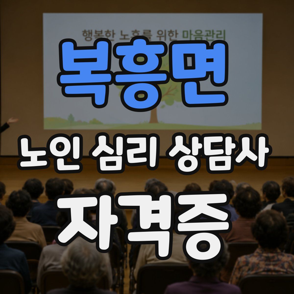 복흥면 노인 심리 상담사 자격증