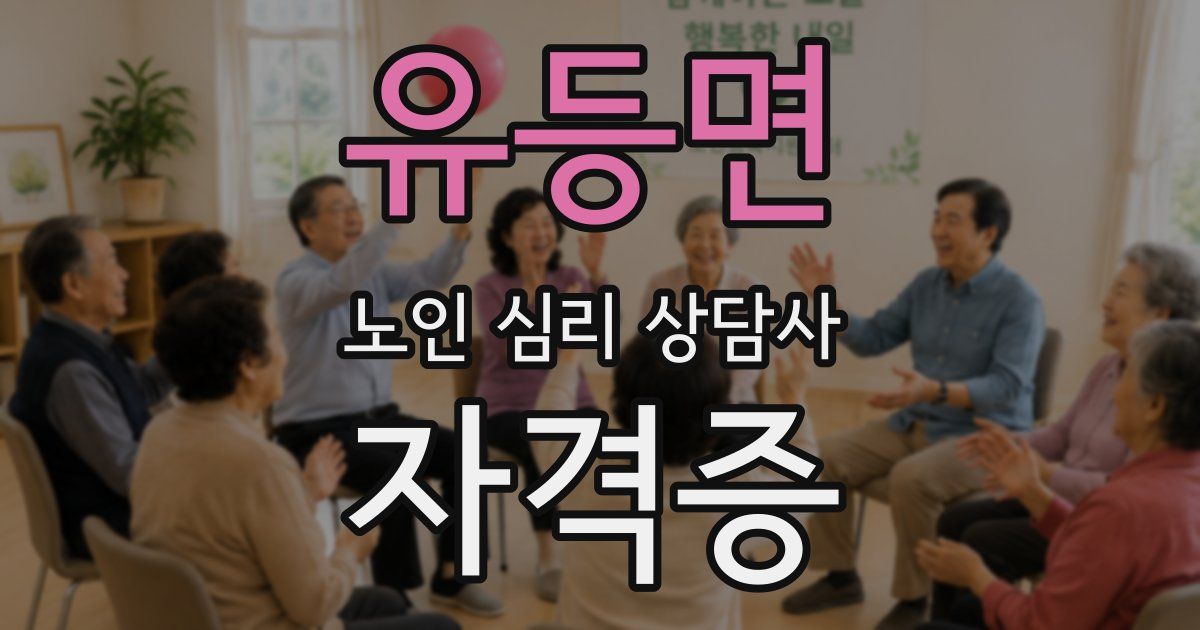 유등면 노인 심리 상담사 자격증