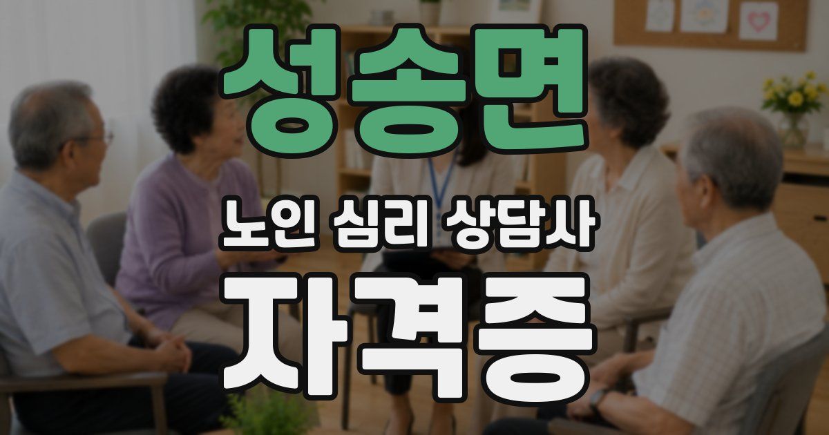 성송면 노인 심리 상담사 자격증