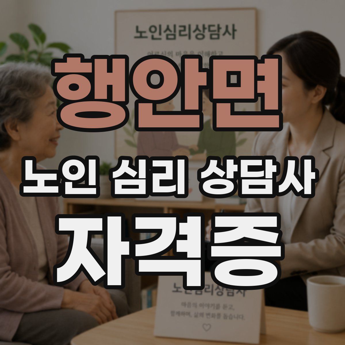 행안면 노인 심리 상담사 자격증