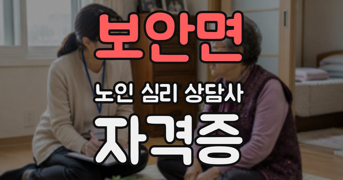 보안면 노인 심리 상담사 자격증