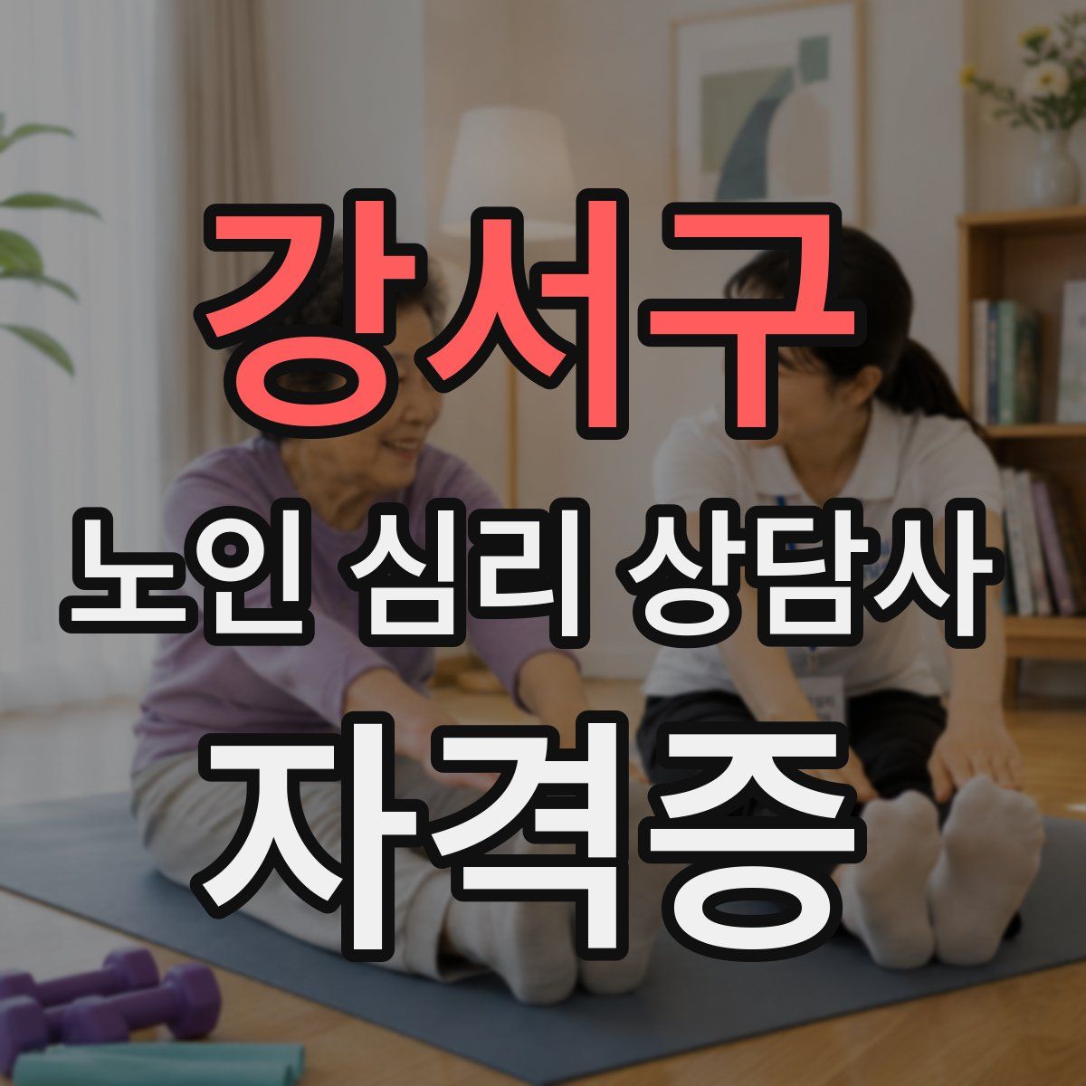 강서구 노인 심리 상담사 자격증