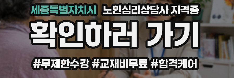 세종특별자치시 노인 심리 상담사 자격증