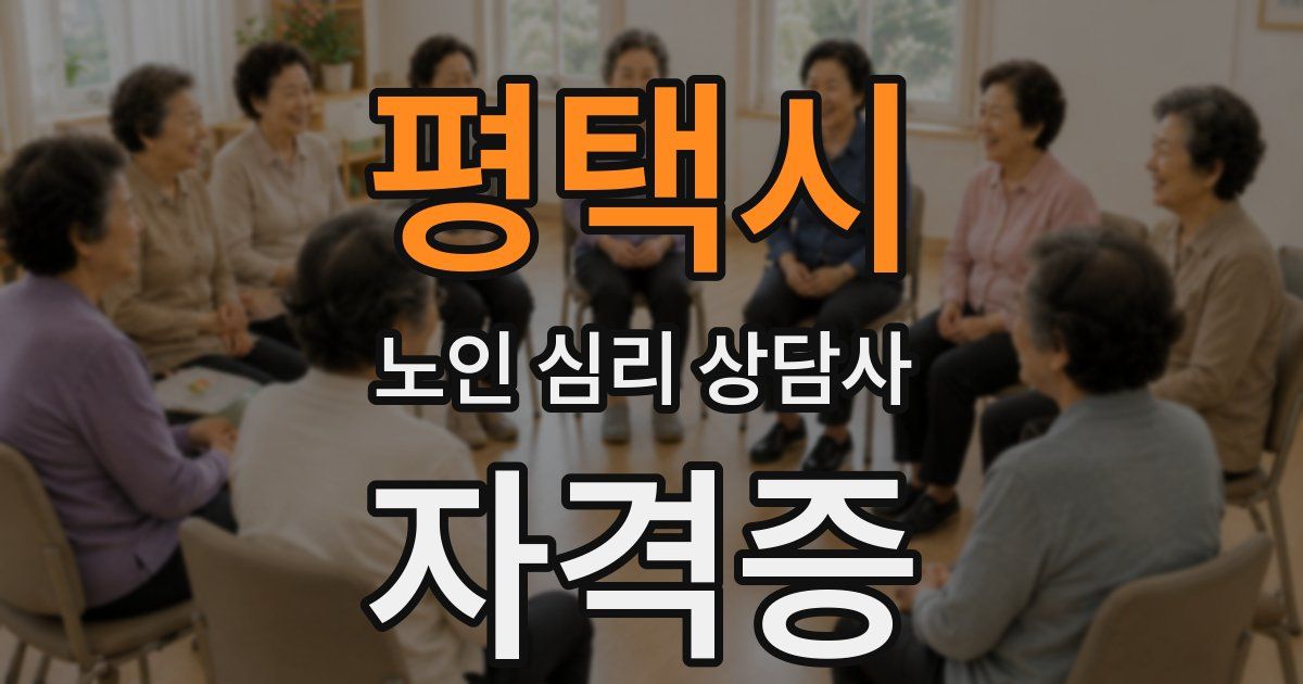 평택시 노인 심리 상담사 자격증