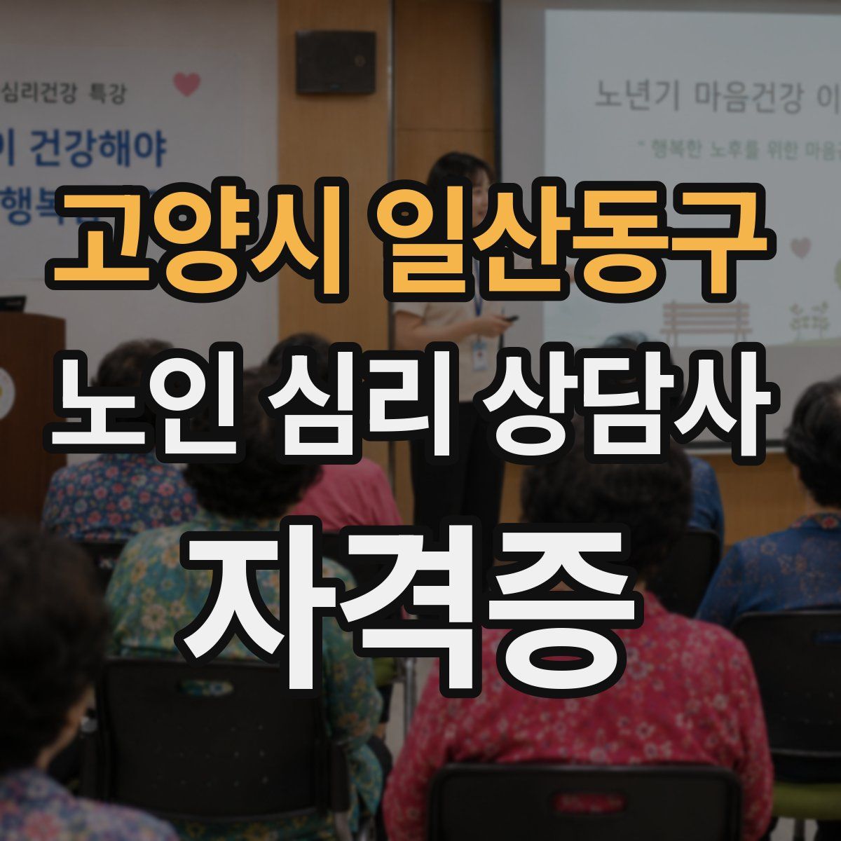 고양시 일산동구 노인 심리 상담사 자격증