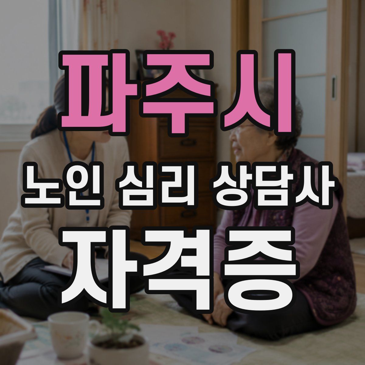 파주시 노인 심리 상담사 자격증