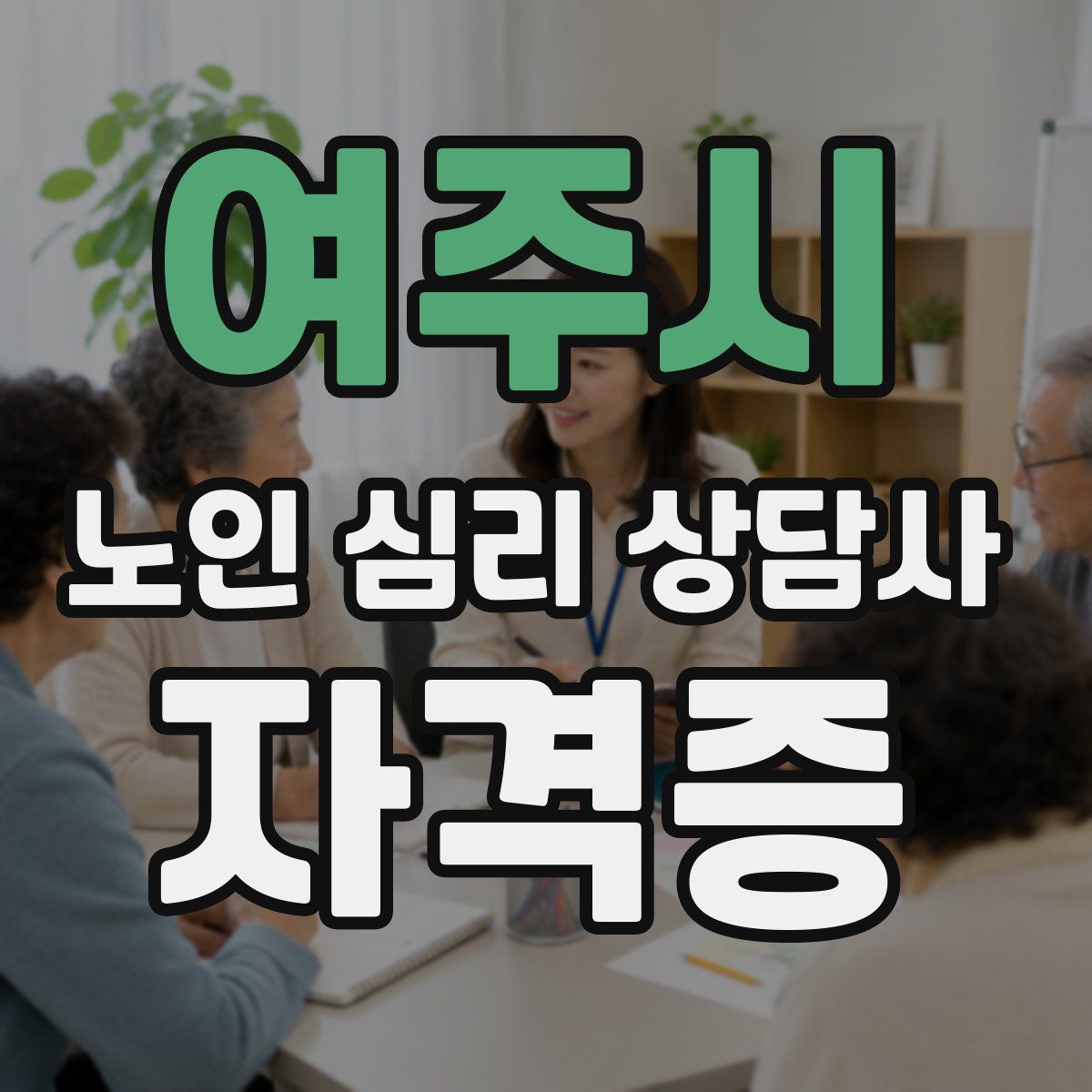 여주시 노인 심리 상담사 자격증