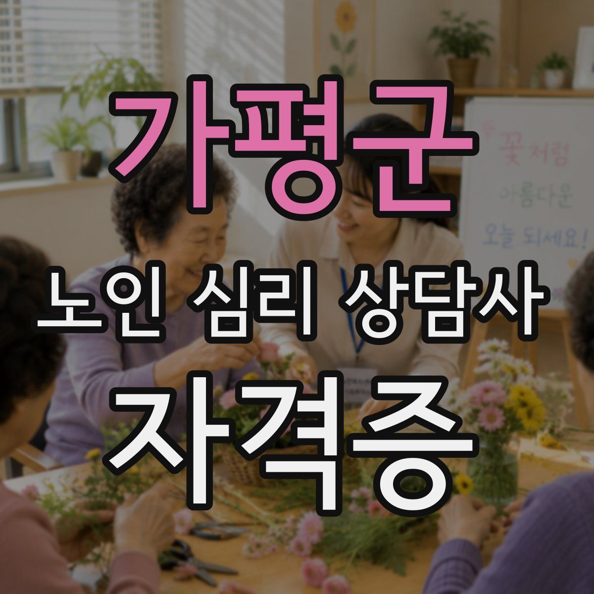 가평군 노인 심리 상담사 자격증