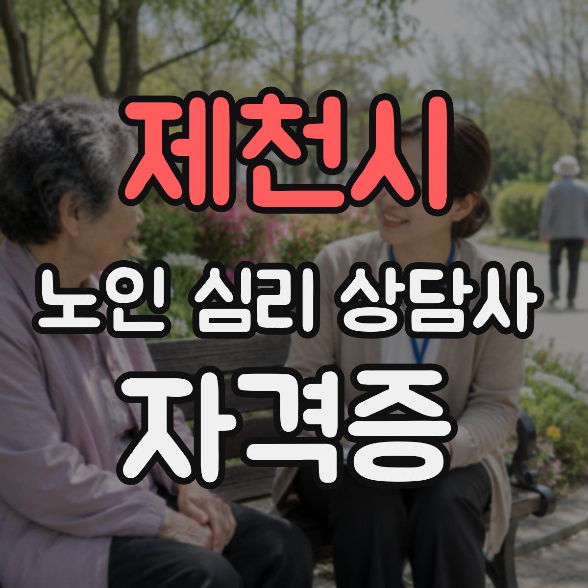 제천시 노인 심리 상담사 자격증