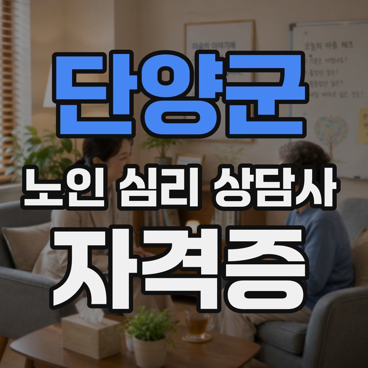 단양군 노인 심리 상담사 자격증