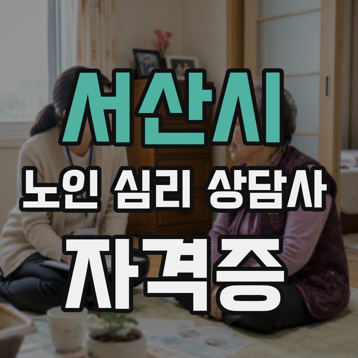 서산시 노인 심리 상담사 자격증