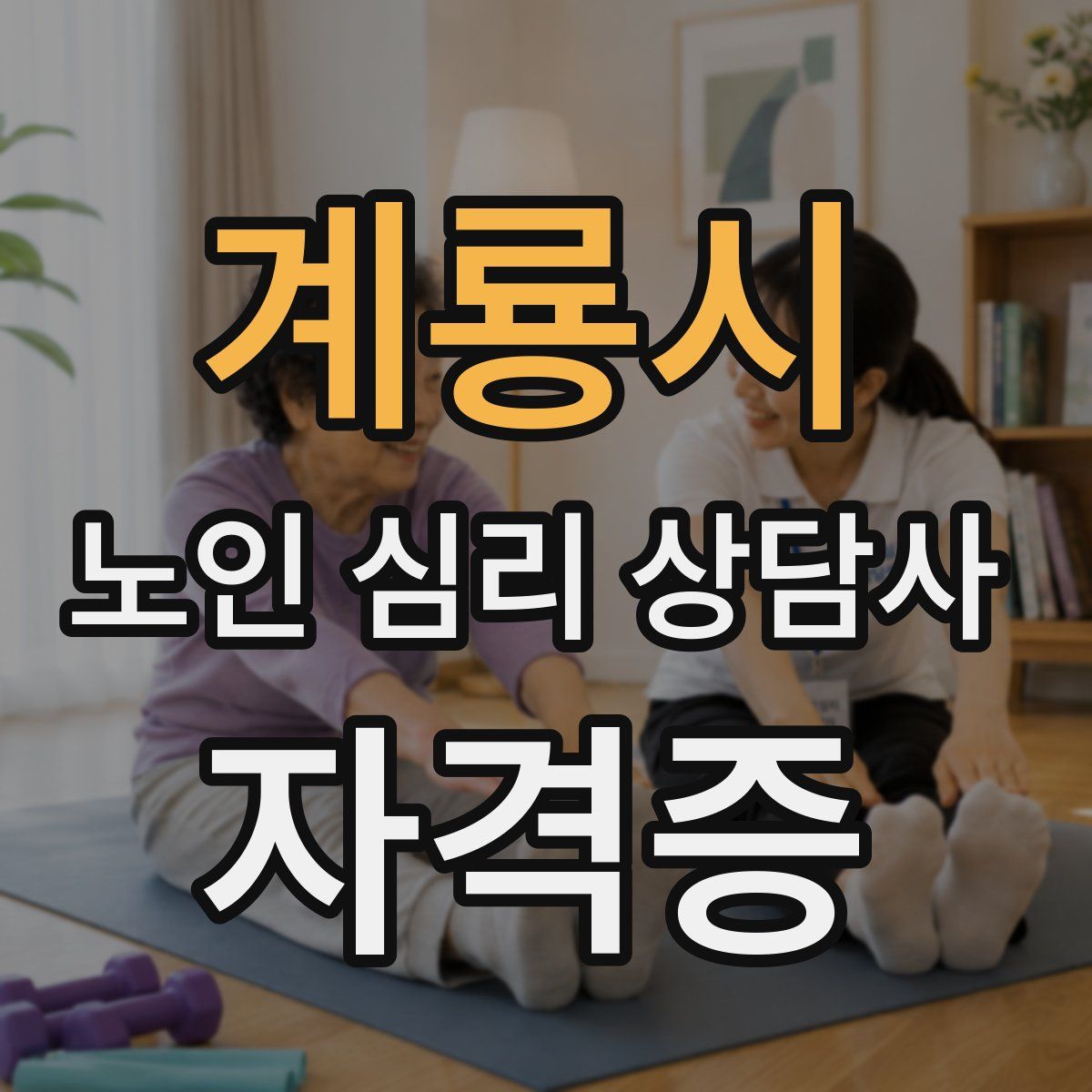 계룡시 노인 심리 상담사 자격증