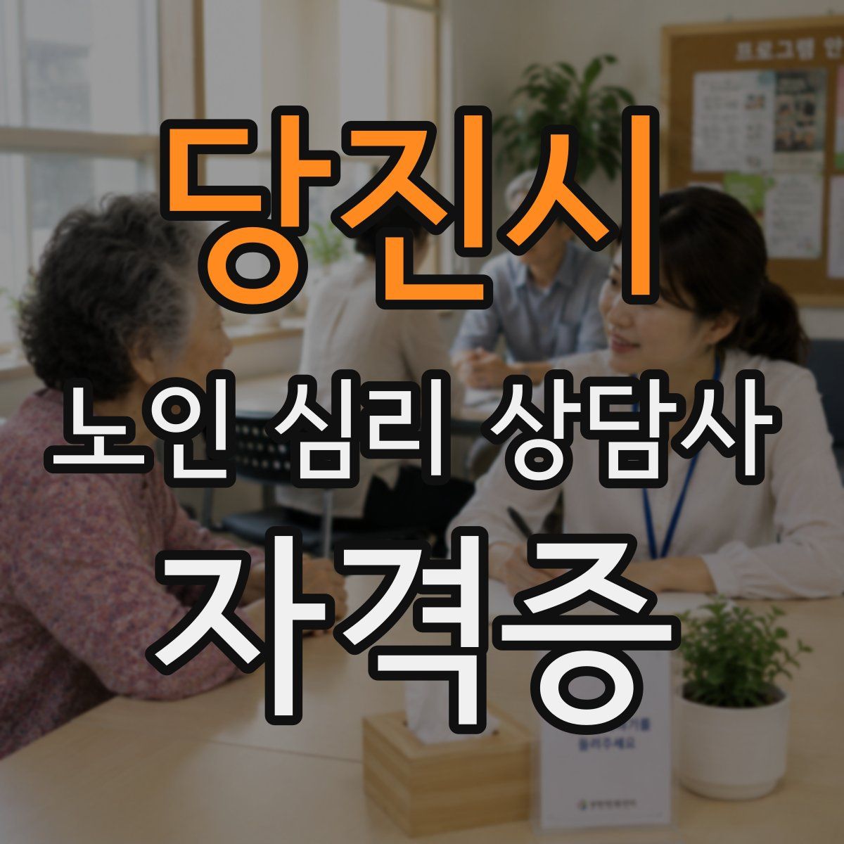 당진시 노인 심리 상담사 자격증