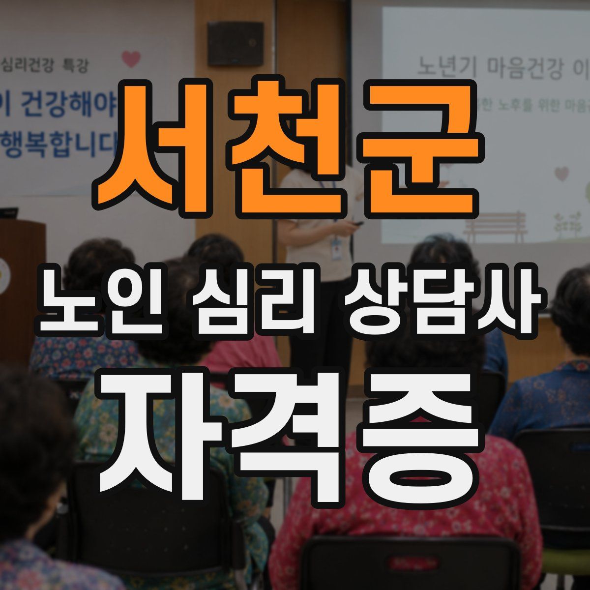 서천군 노인 심리 상담사 자격증