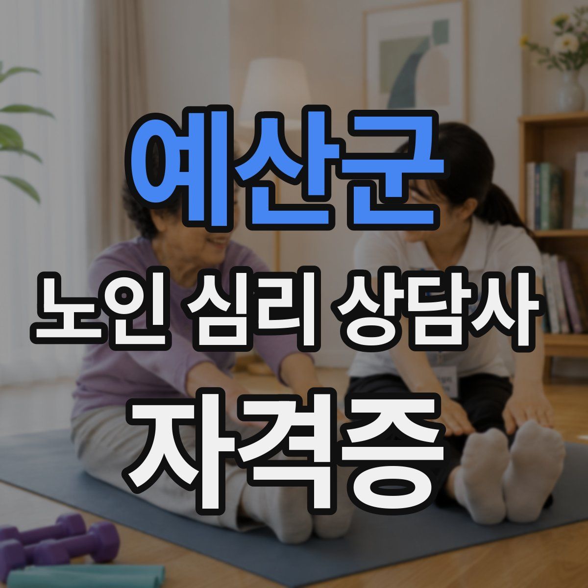 예산군 노인 심리 상담사 자격증