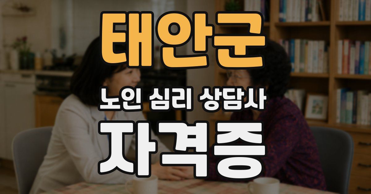 태안군 노인 심리 상담사 자격증