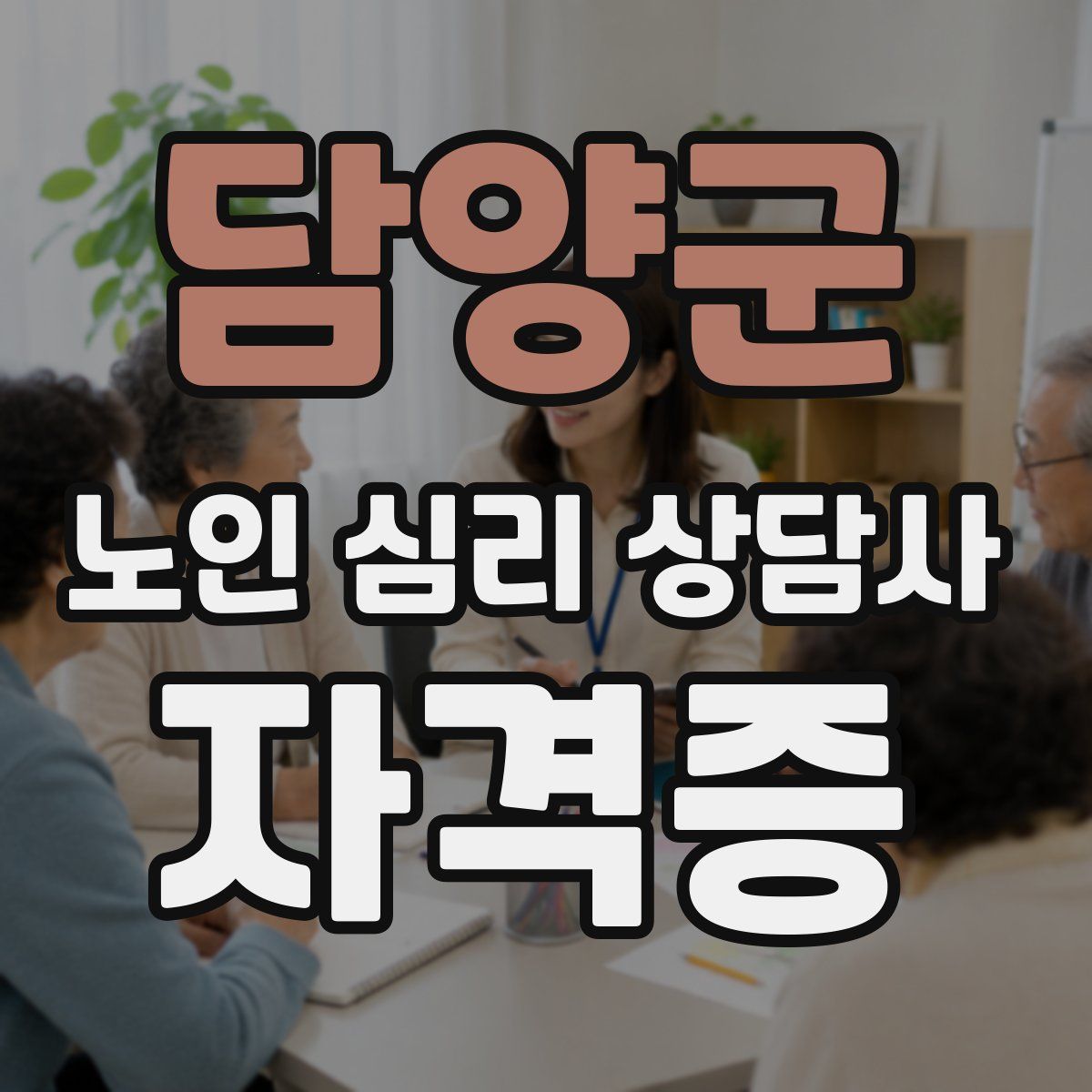 담양군 노인 심리 상담사 자격증
