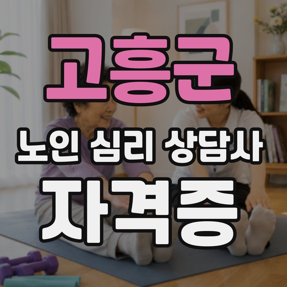 고흥군 노인 심리 상담사 자격증