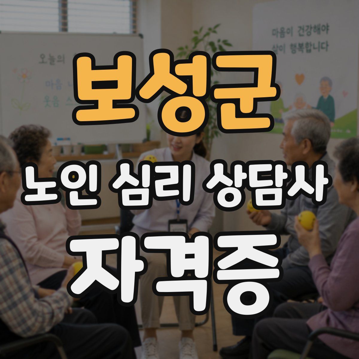 보성군 노인 심리 상담사 자격증