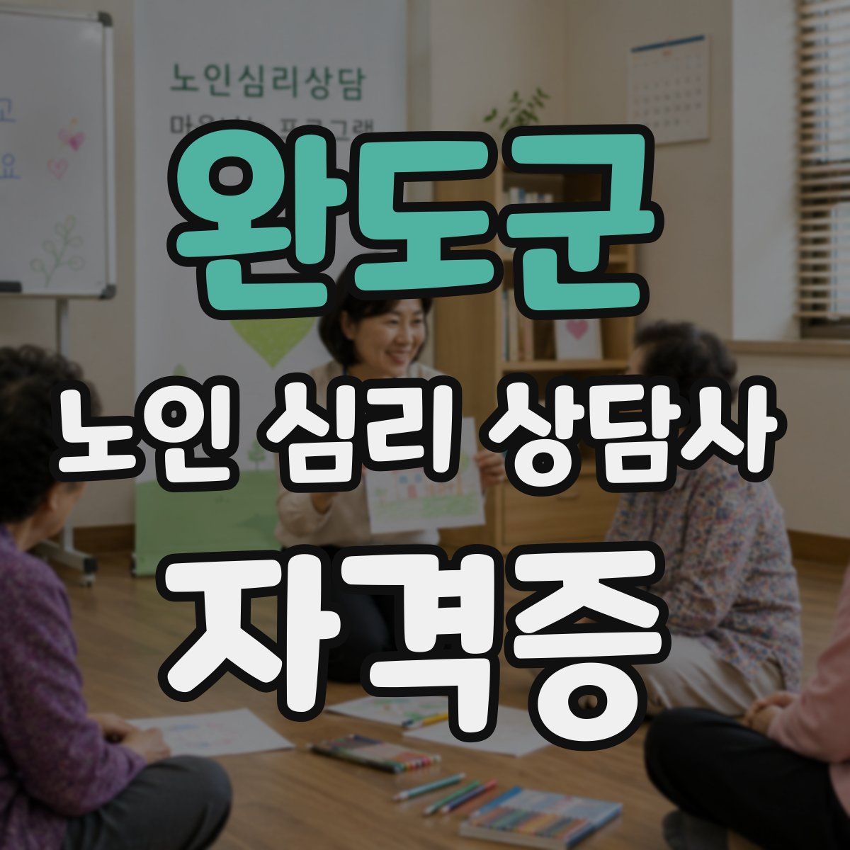 완도군 노인 심리 상담사 자격증