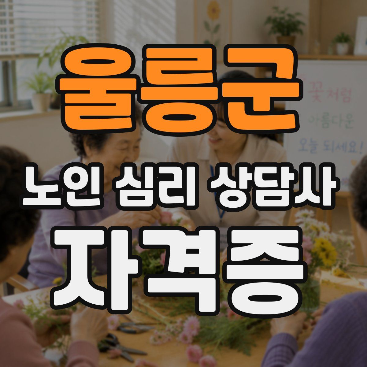 울릉군 노인 심리 상담사 자격증