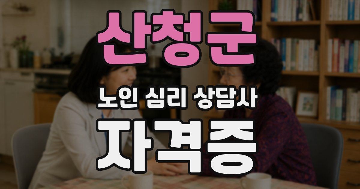 산청군 노인 심리 상담사 자격증