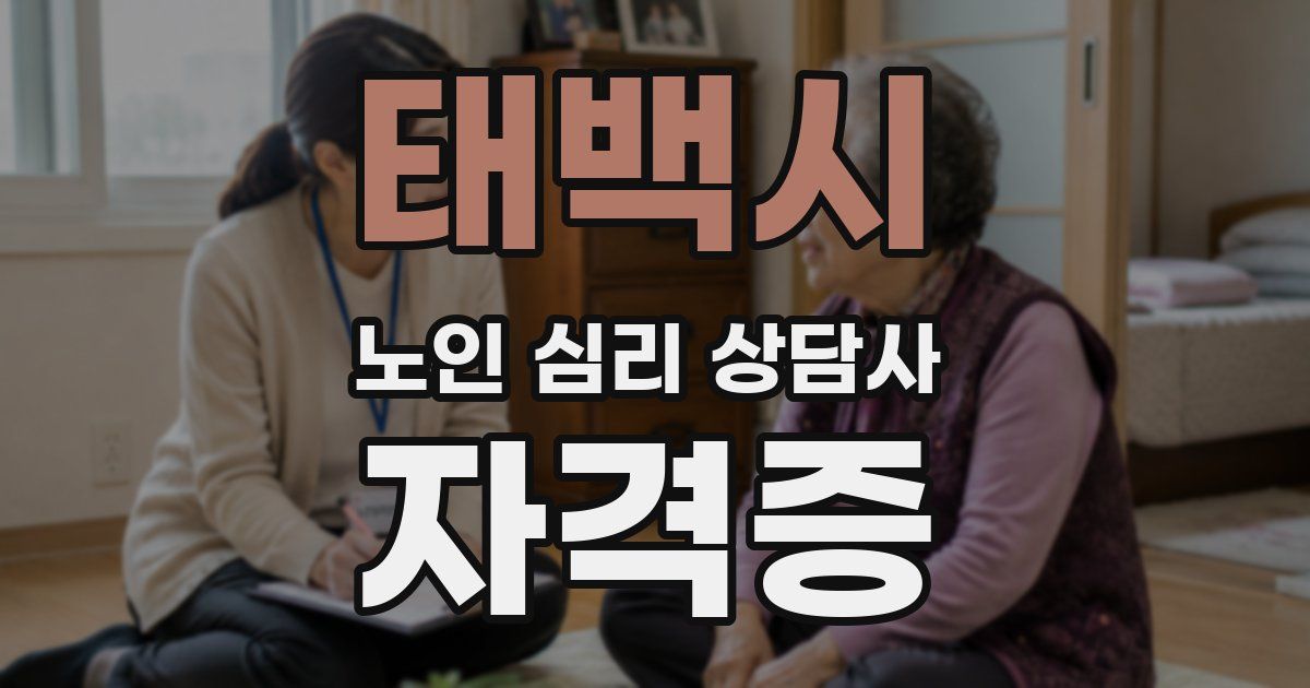 태백시 노인 심리 상담사 자격증