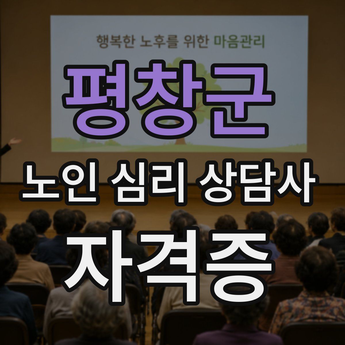 평창군 노인 심리 상담사 자격증