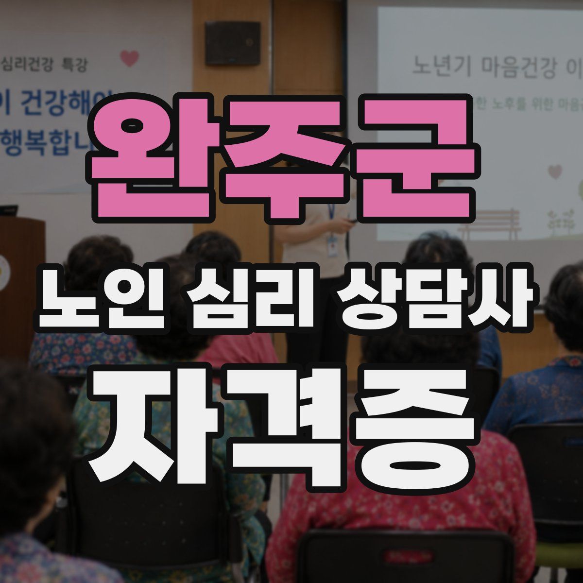 완주군 노인 심리 상담사 자격증