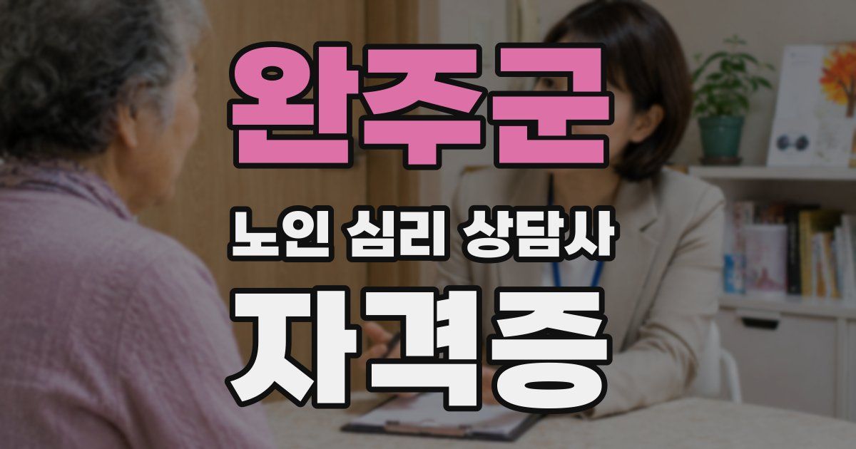 완주군 노인 심리 상담사 자격증