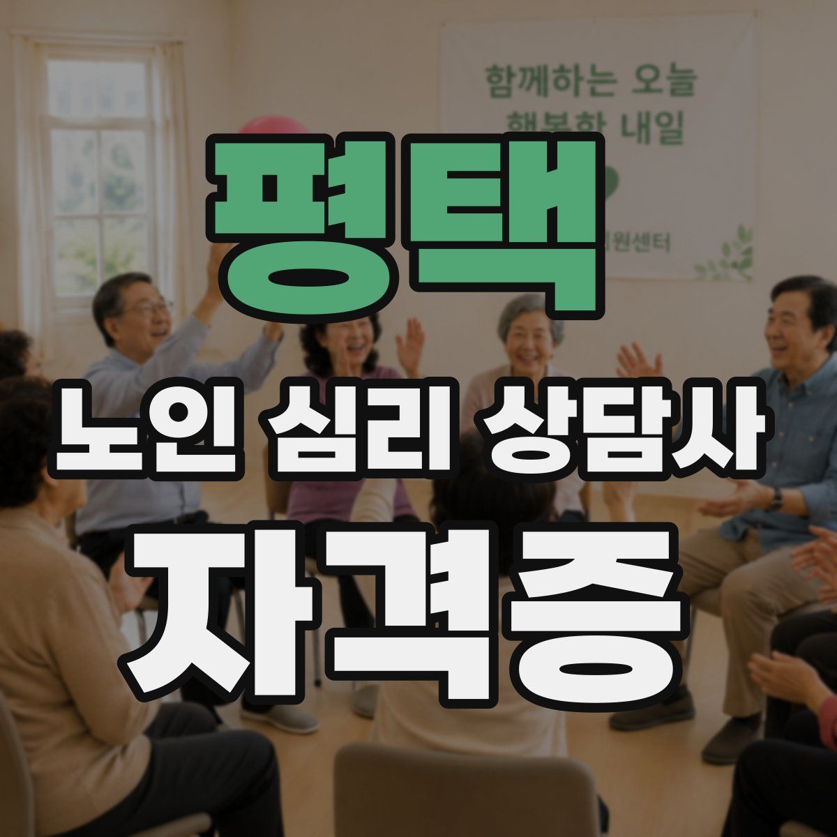 평택 노인 심리 상담사 자격증