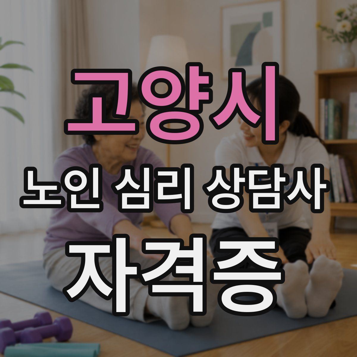 고양시 노인 심리 상담사 자격증