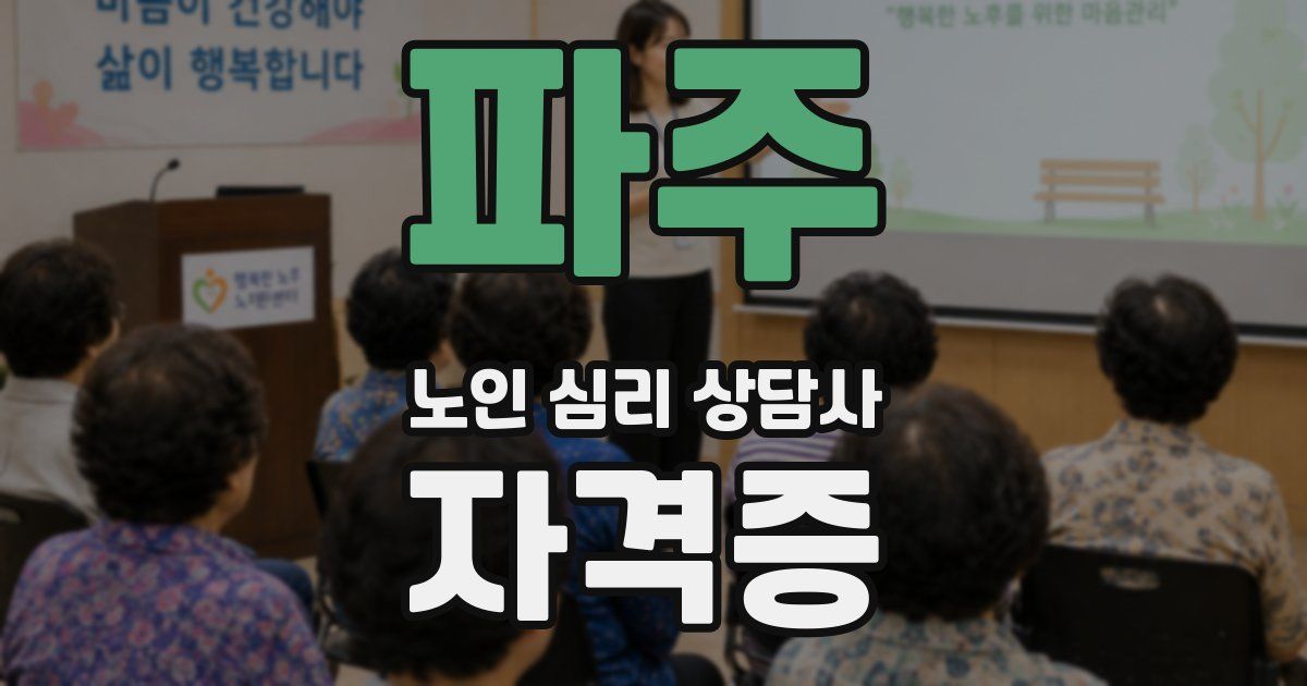 파주 노인 심리 상담사 자격증