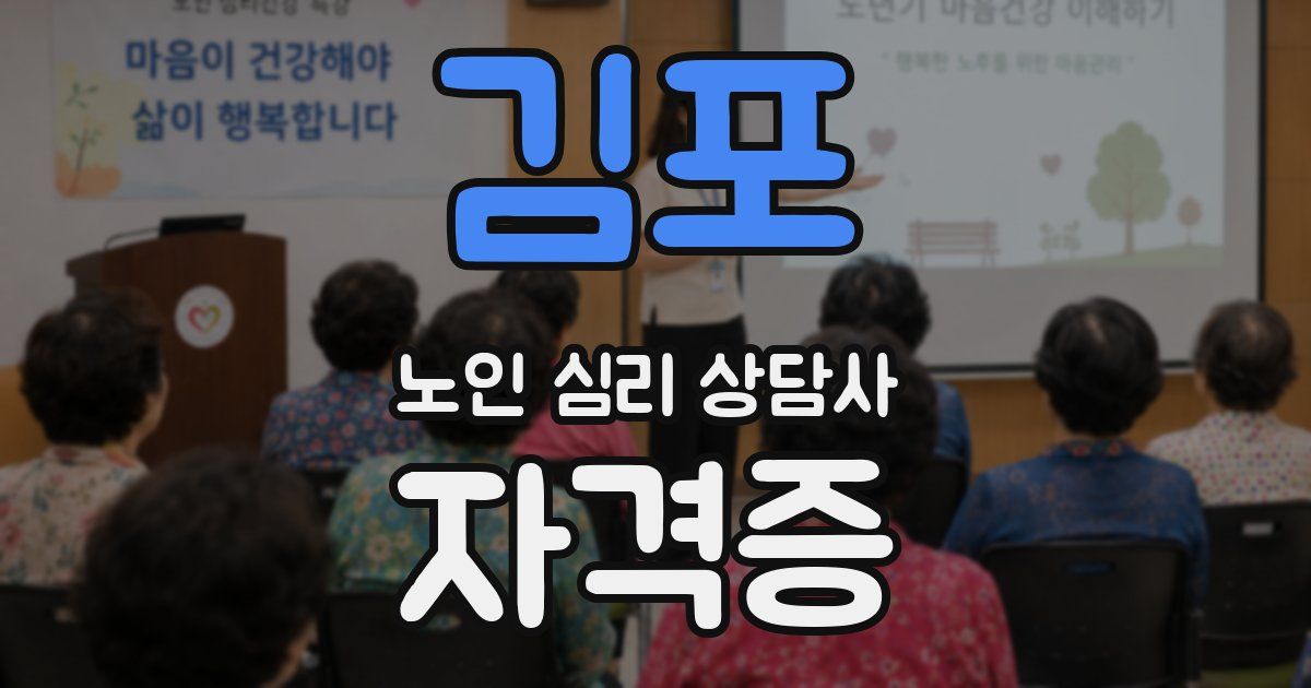 김포 노인 심리 상담사 자격증