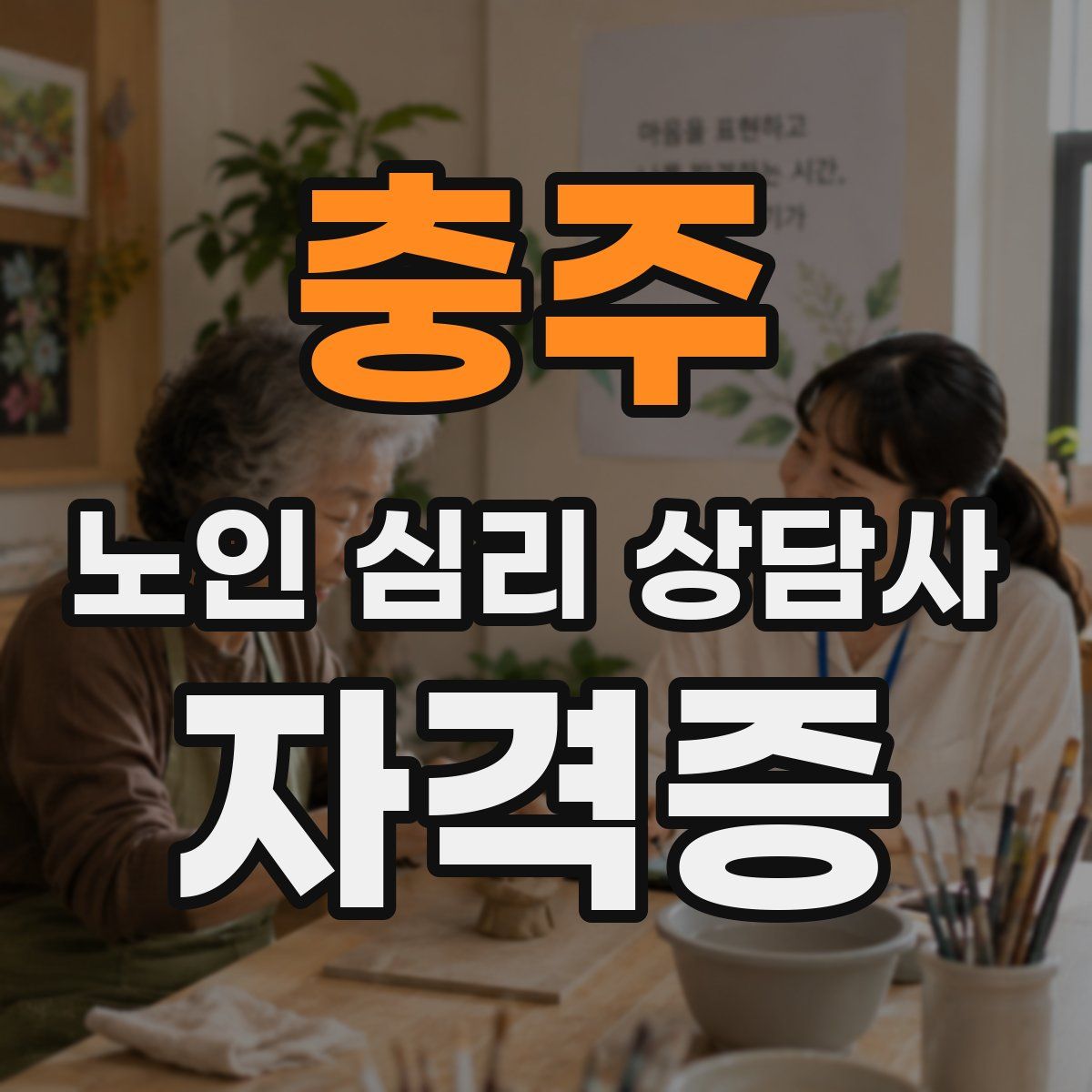 충주 노인 심리 상담사 자격증