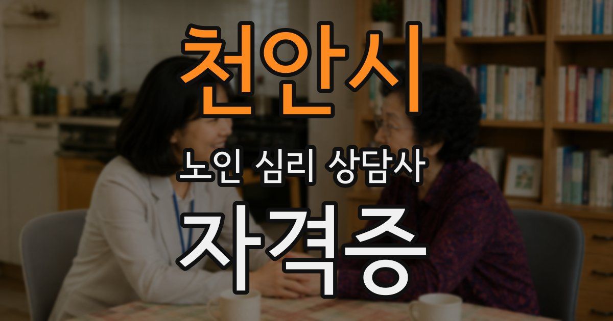 천안시 노인 심리 상담사 자격증