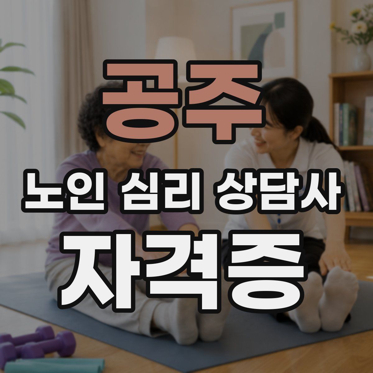공주 노인 심리 상담사 자격증
