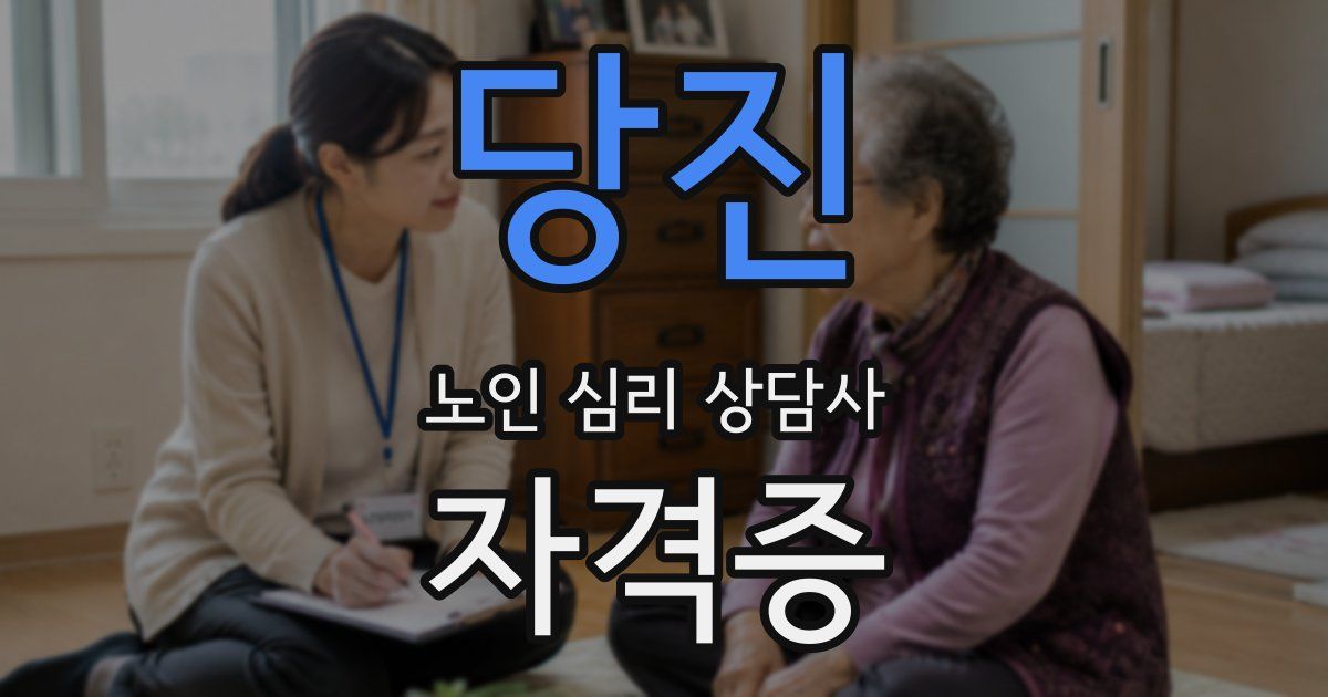 당진 노인 심리 상담사 자격증