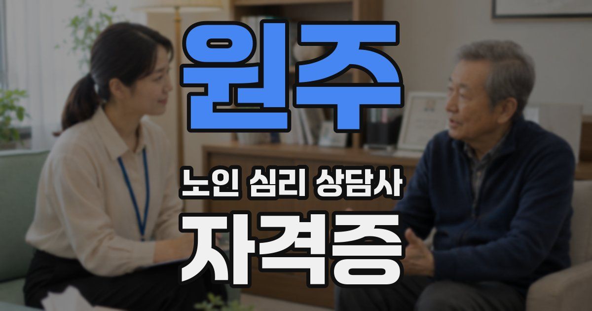 원주 노인 심리 상담사 자격증